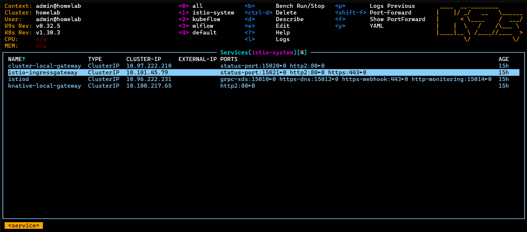 mlflow-kubeflow-port-forward