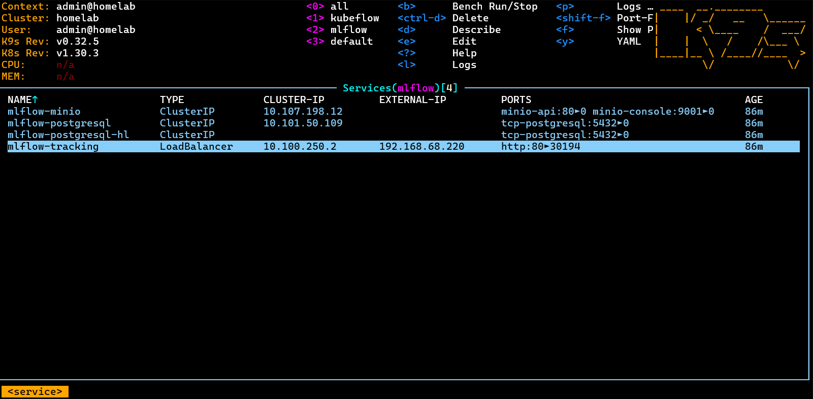 mlflow-namespace-svc