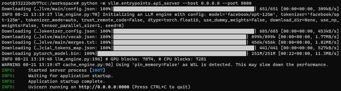 vllm-api-server-with-uvicorn